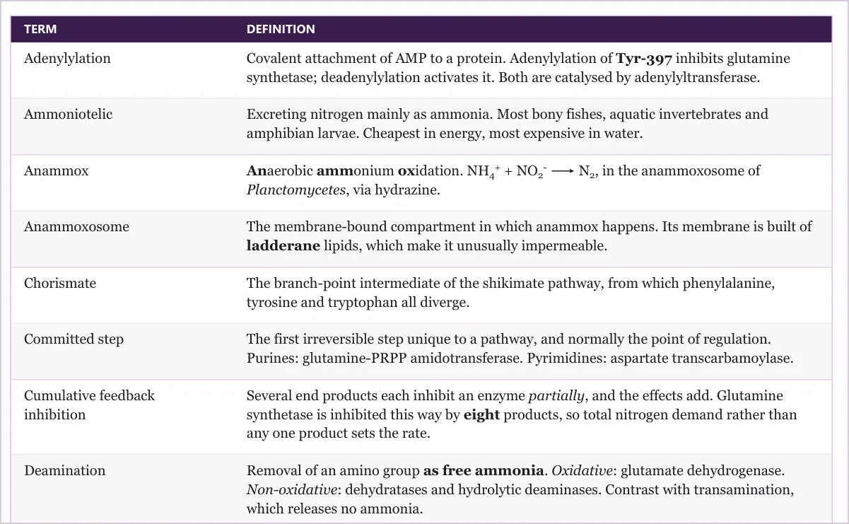 Rows from Appendix B: a key-terms table with a full written definition beside each term.