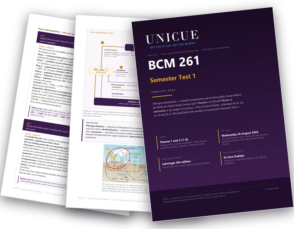 Three pages from a UniCue guide, fanned: the aubergine BCM 261 cover, a redrawn nitrogen-cycle map, and a fifteen-mark urea-cycle question with its full model answer.
