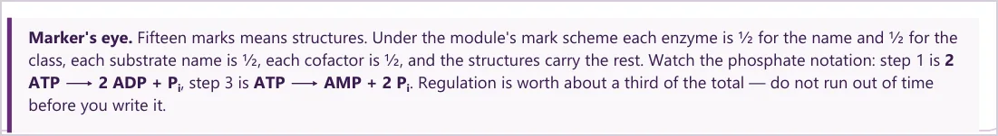 A Marker's eye note: fifteen marks means structures, half a mark for each name and half for each cofactor, and a warning about the phosphate notation.